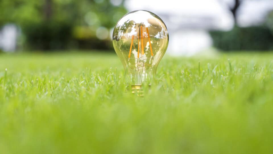 LUOX Energy Erfahrungen: Wie dynamische Stromtarife helfen, Kosten zu sparen